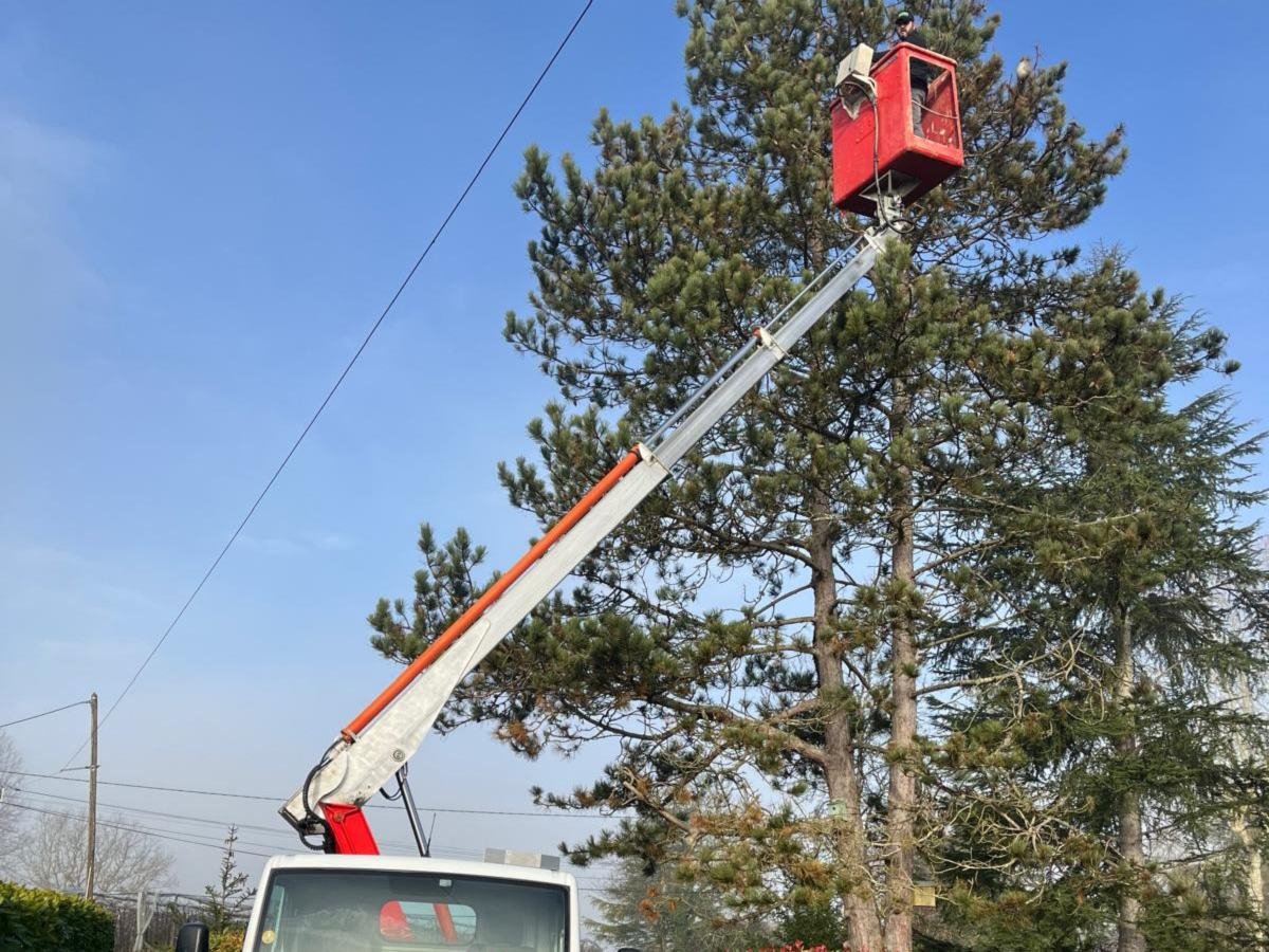 Nacelle déployée au sommet de grands pins, camion stationné dans l’allée, Tarn-et-Garonne