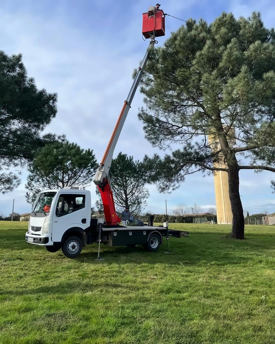Élagage d’un grand pin sur nacelle, camion stationné sur la pelouse