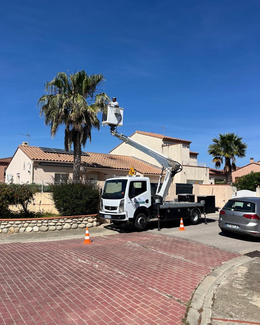 Taille de palmiers depuis la nacelle dans un lotissement, cônes de signalisation posés sur la rue, Tarn-et-Garonne